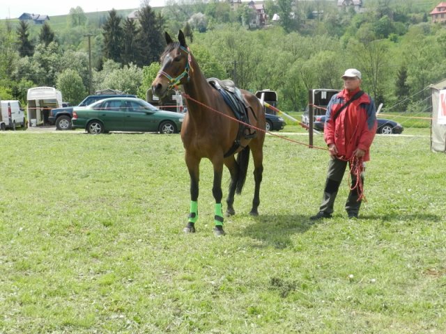 Rajd Mszana Górna 2015